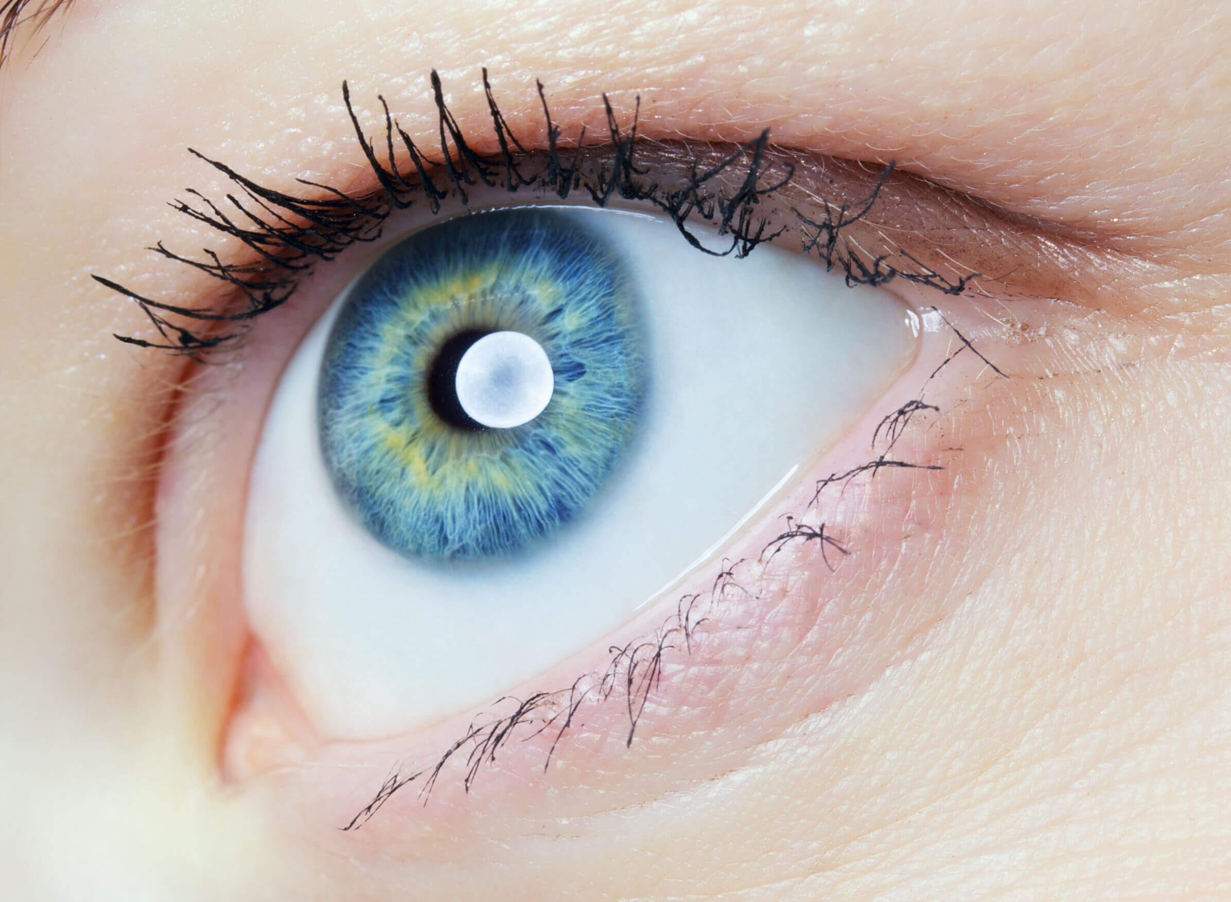 Krankheitsvorbeugung Iris und Augendiagnose